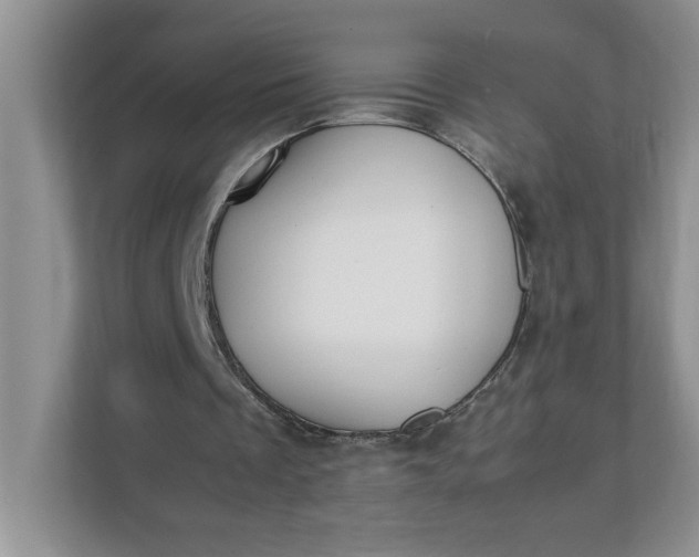 X0000112040289200908171517