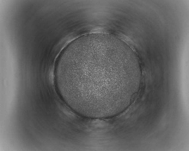 X0000112040290200908171517