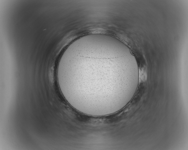 X0000112040291200908171517