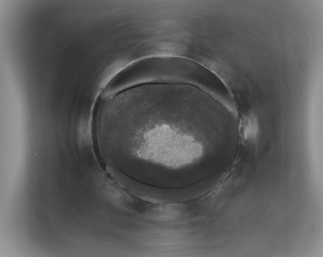 X0000112040292200908171516