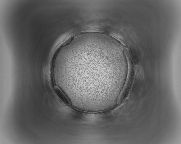 X0000112040293200908171516