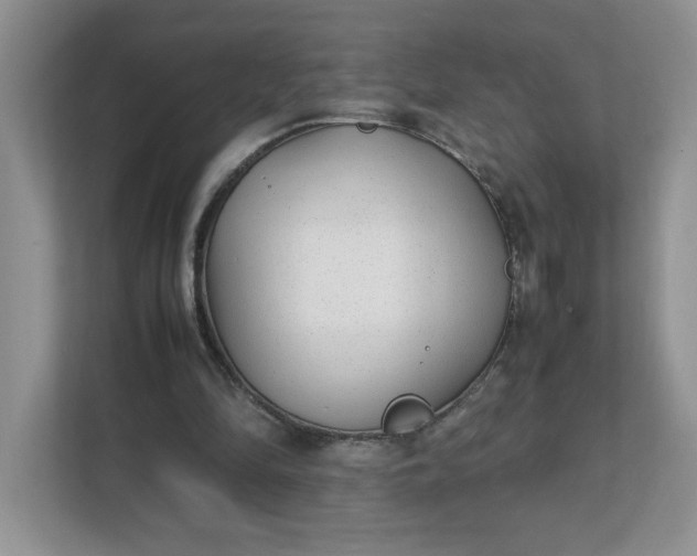 X0000112040294200908171516