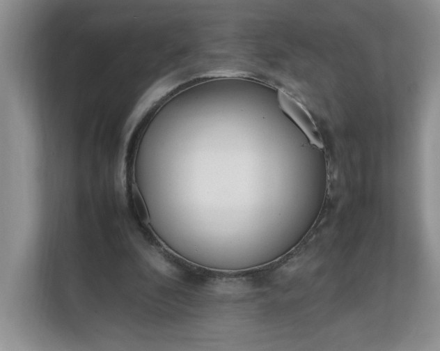 X0000112040296200908171516