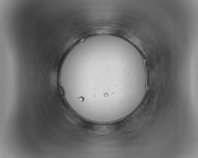 X0000112040297200908171516