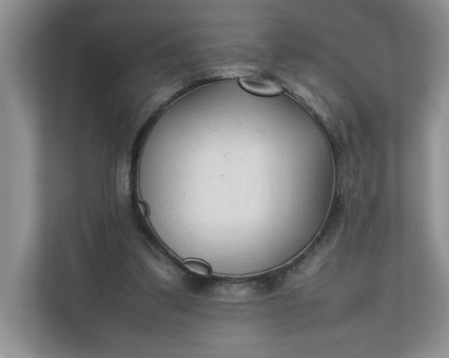 X0000112040299200908171516