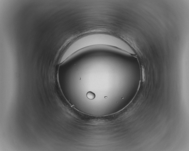 X0000112040300200908171516