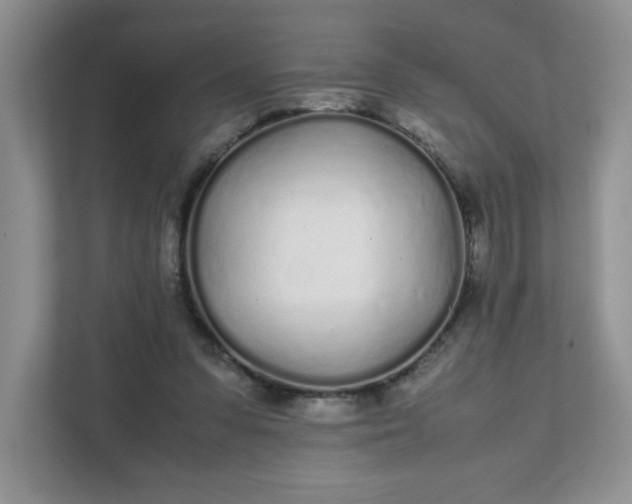 X0000112040303200908171516