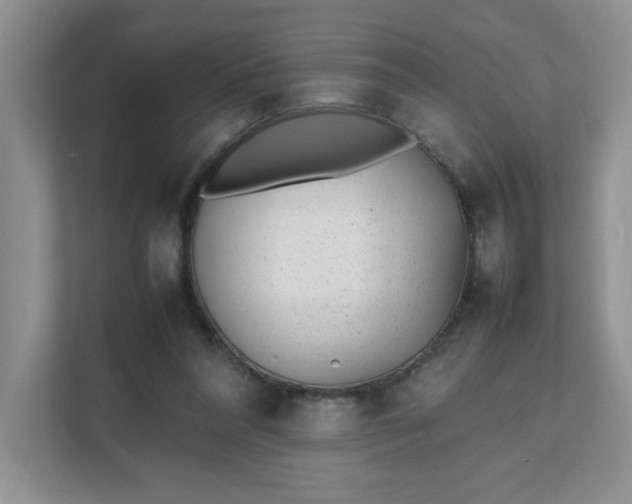 X0000112040304200908171516