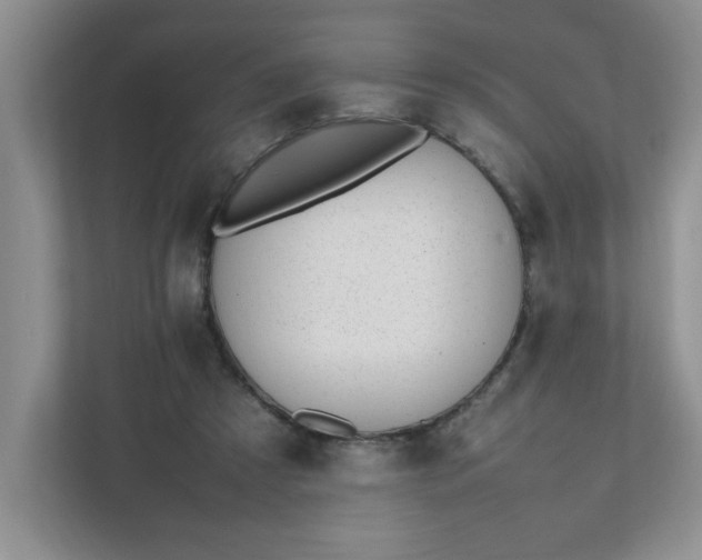 X0000112040305200908171516