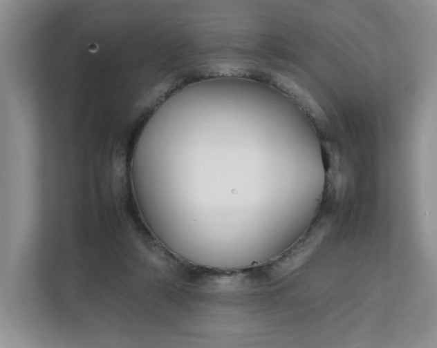 X0000112040306200908171516