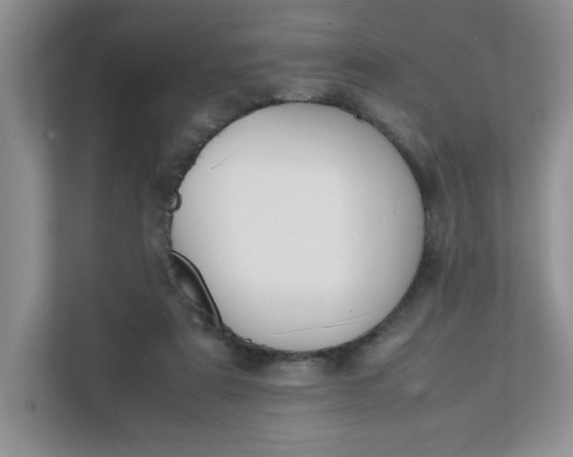 X0000112040307200908171516