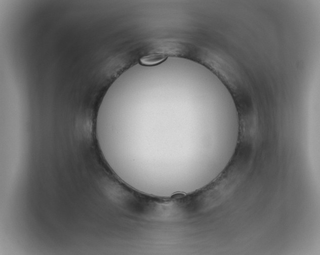 X0000112040309200908171516