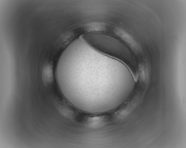 X0000112040312200908171516