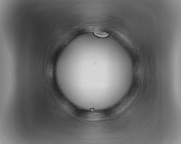 X0000112040315200908171516