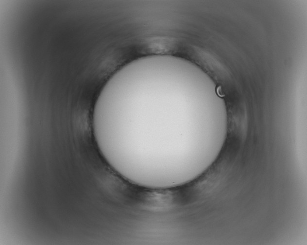 X0000112040317200908171516