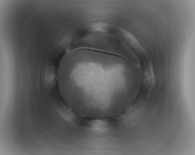 X0000112040320200908171516