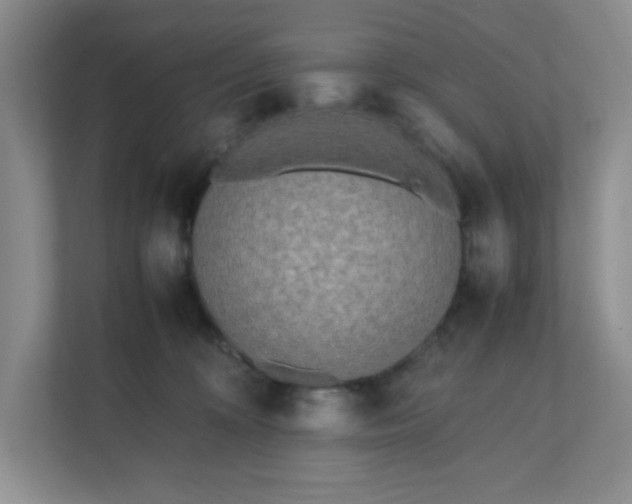 X0000112040324200908171516