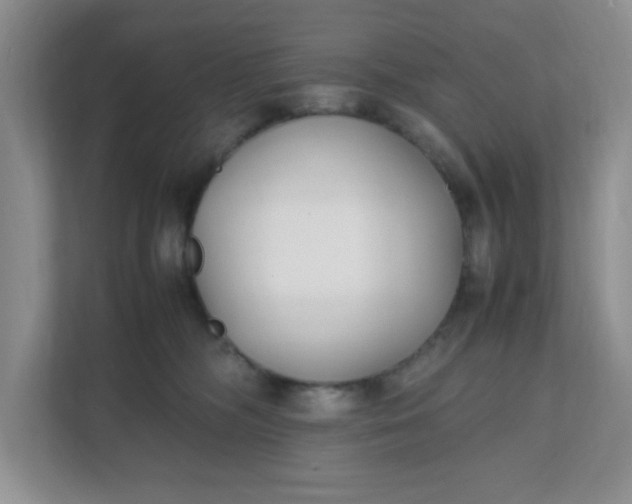 X0000112040326200908171516