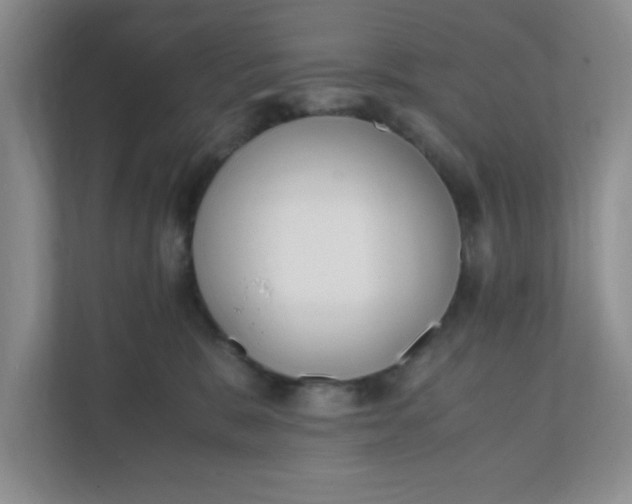 X0000112040327200908171516