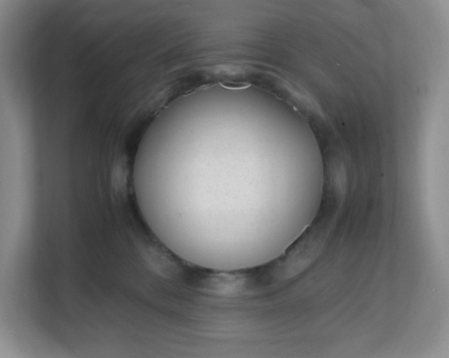 X0000112040328200908171516