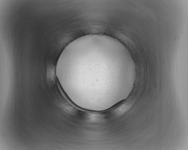 X0000112040336200908171516