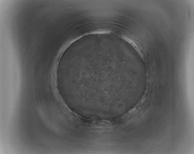 X0000112040337200908171515