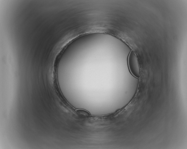 X0000112040338200908171515