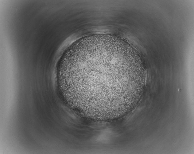 X0000112040339200908171515