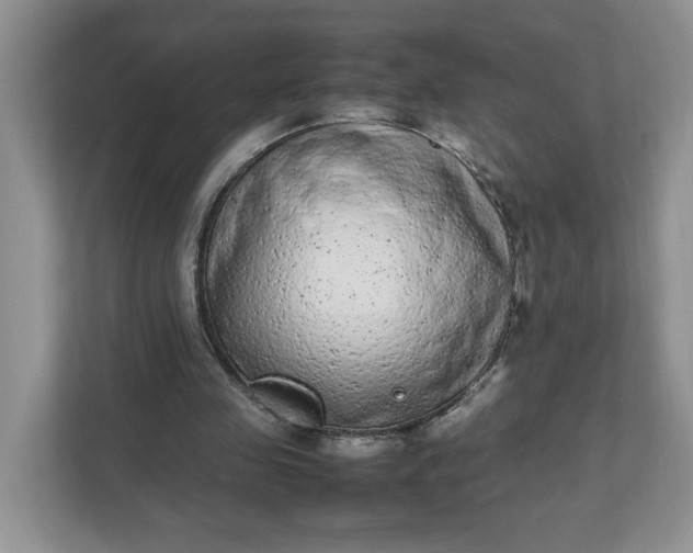 X0000112040341200908171515