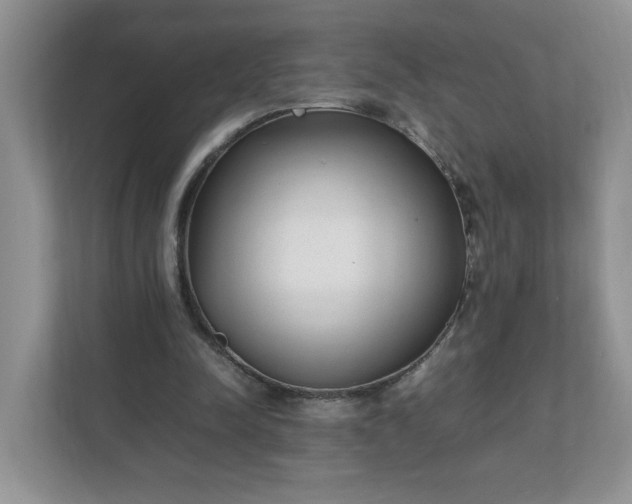 X0000112040342200908171515