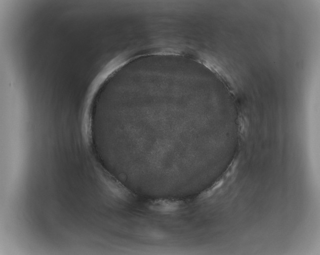 X0000112040343200908171515