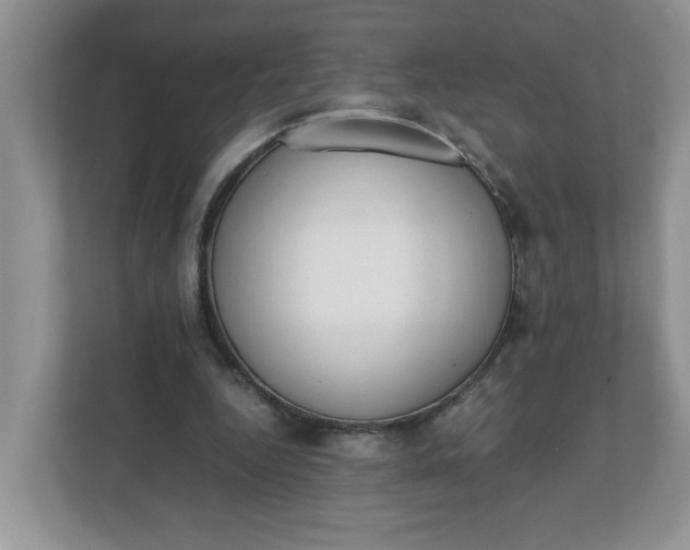 X0000112040344200908171515