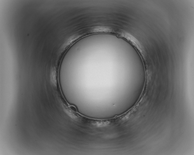 X0000112040345200908171515