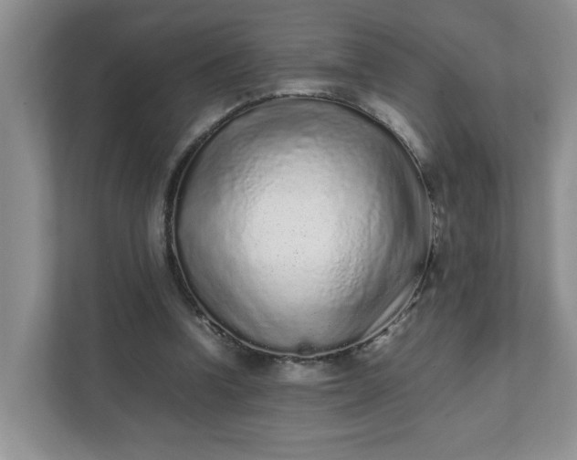 X0000112040346200908171515