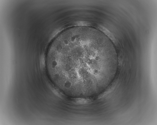 X0000112040347200908171515