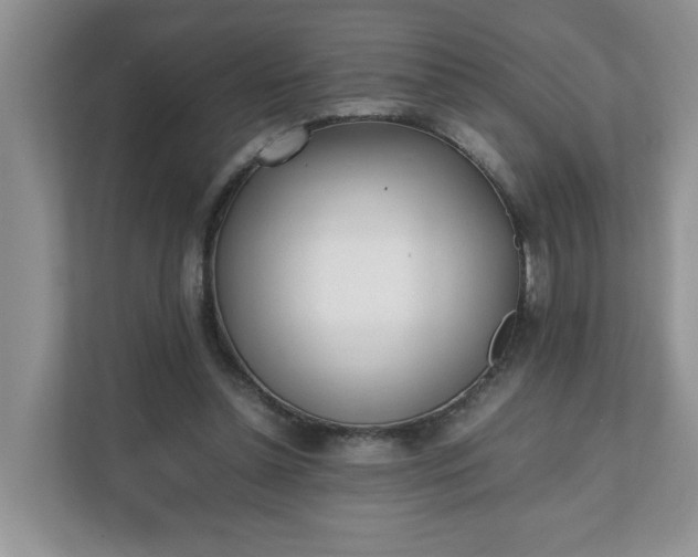 X0000112040348200908171515
