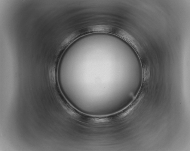 X0000112040349200908171515
