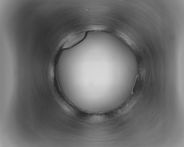 X0000112040350200908171515