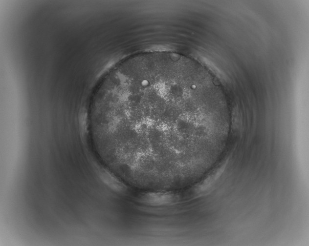 X0000112040351200908171515