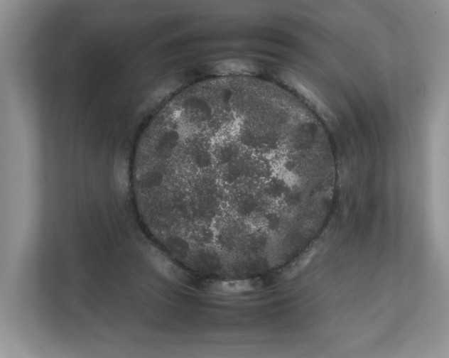 X0000112040353200908171516