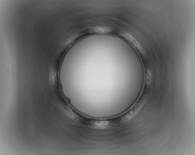X0000112040355200908171516