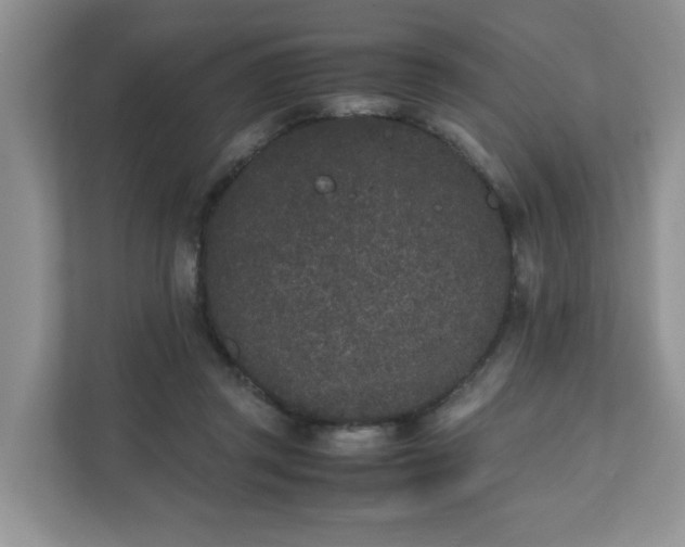 X0000112040357200908171516