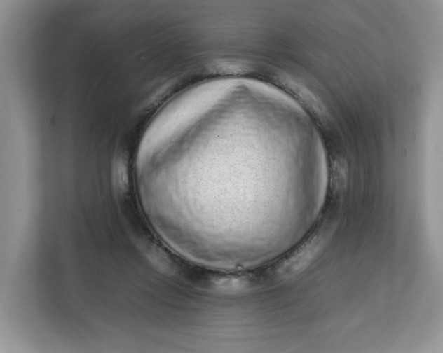 X0000112040358200908171516
