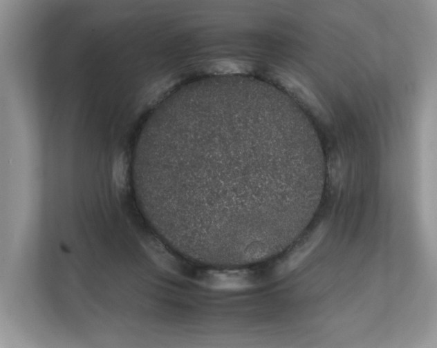X0000112040359200908171516