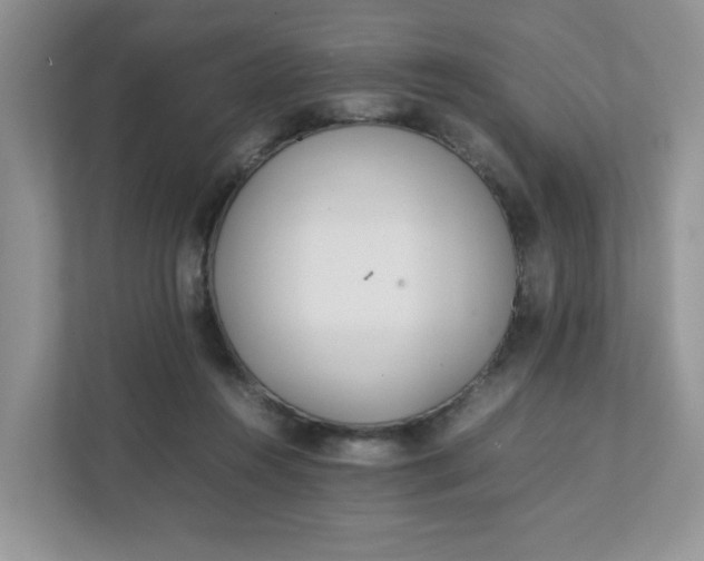 X0000112040360200908171516