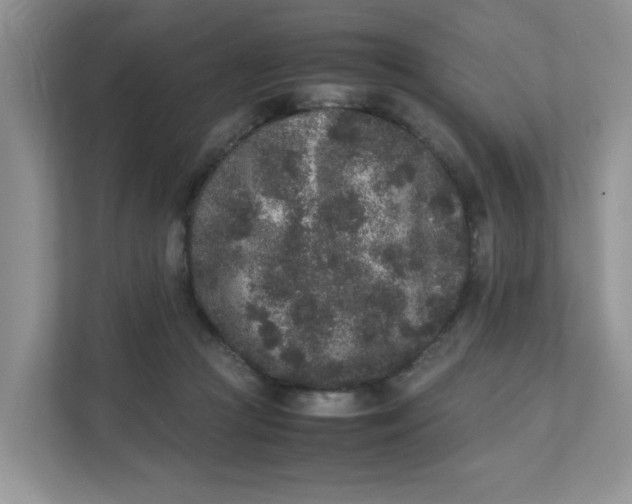 X0000112040361200908171516