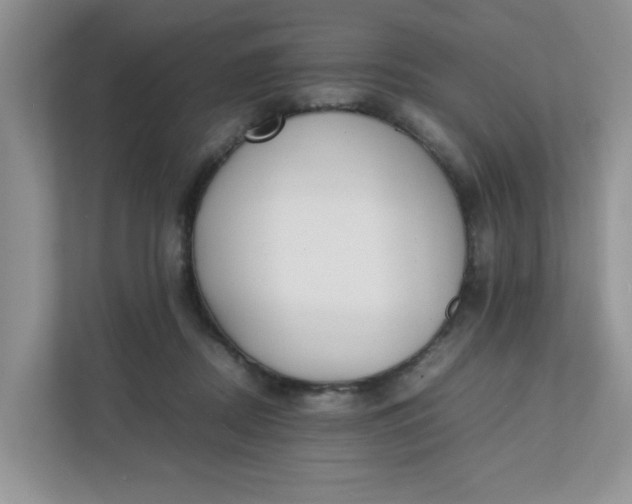 X0000112040362200908171516