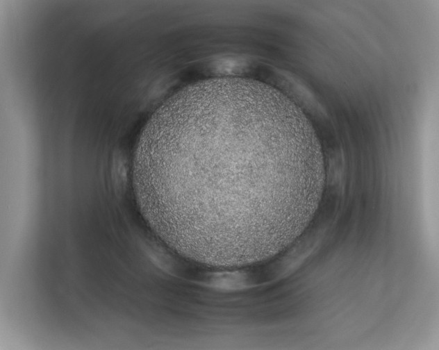 X0000112040363200908171516