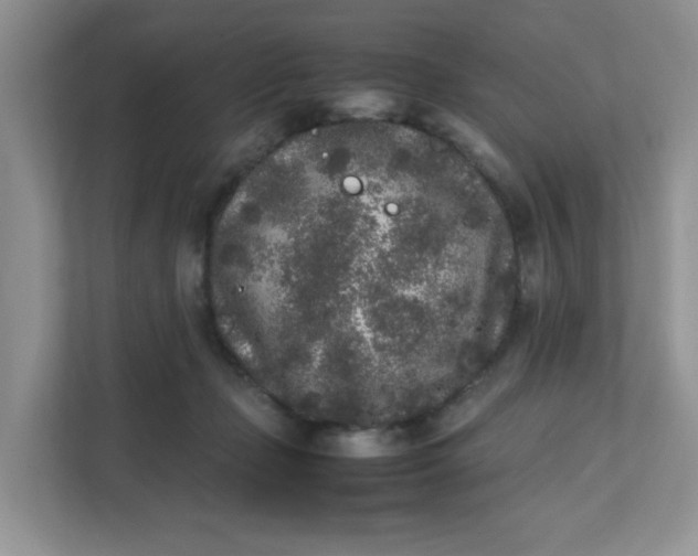 X0000112040365200908171516