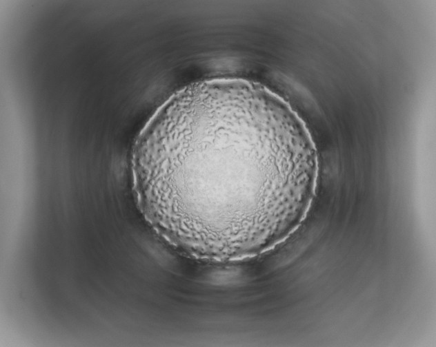 X0000112040369200908171516